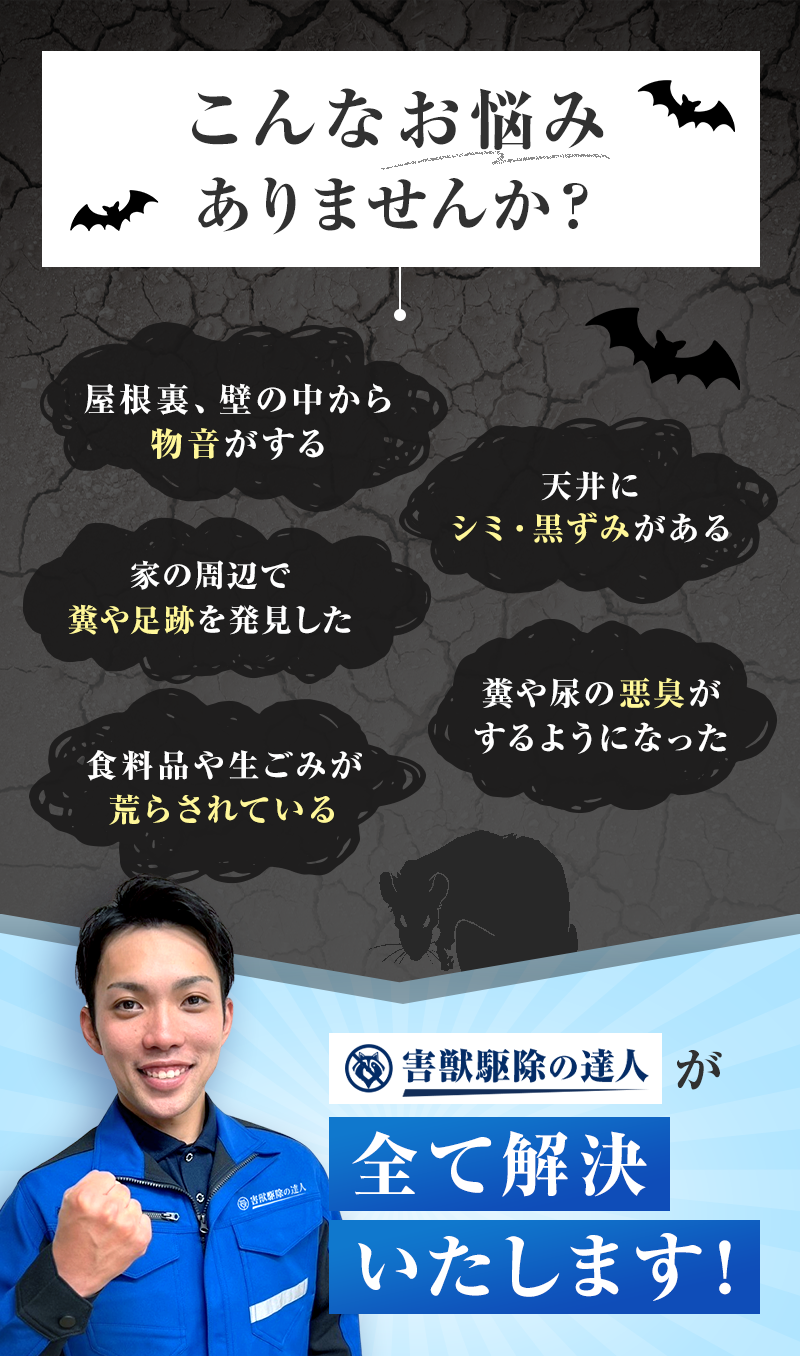 こんなお悩みありませんか？・屋根裏、壁の中から物音がする　天井にシミ・黒ずみがある　家の周辺で糞や足跡を発見した　糞や尿の悪臭がするようになった　食料品や生ごみが荒らされている　害獣駆除の達人が全て解決いたします！